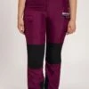Ulla Popken Cargohose - Ultraviolet -Ulla Popken cb233dc3d23f462d99d706cdd9da118b